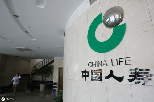 中國人壽保險(xiǎn).集團(tuán)上線轉(zhuǎn)拍網(wǎng)